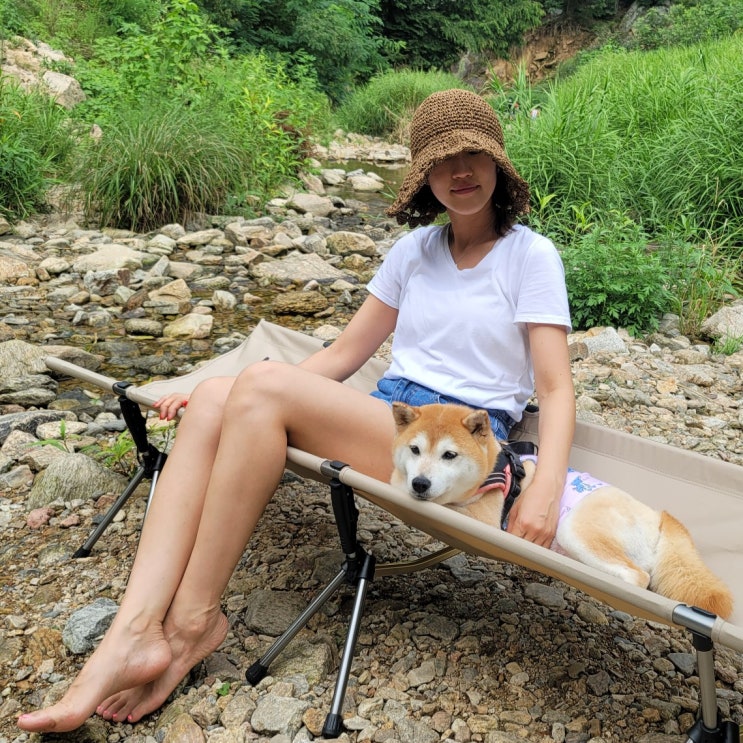  간편해서 매력적인 캠핑 야전 침대 메이튼 레드와일드