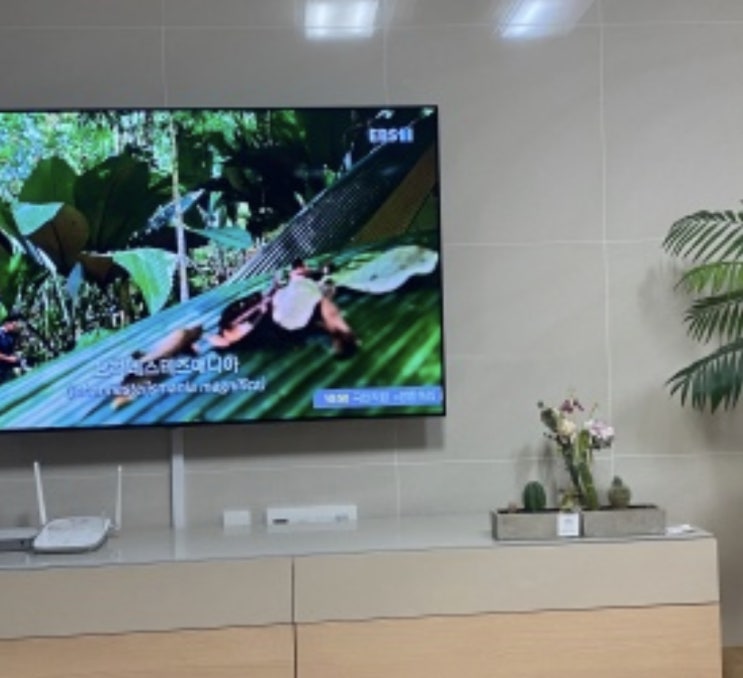  OLED65BXENA 평생의 티비 선택. 후회없어요