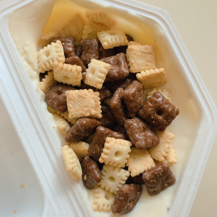  독일 요플레
