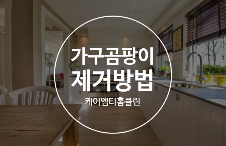 가구곰팡이제거방법 꿀팁 알려드릴게요! 가구곰팡이제거방법 꿀팁 알려드릴게요!