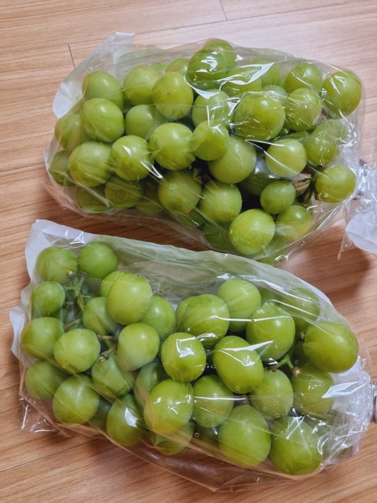  배민 샤인머스캣 주문해봄 맛은?