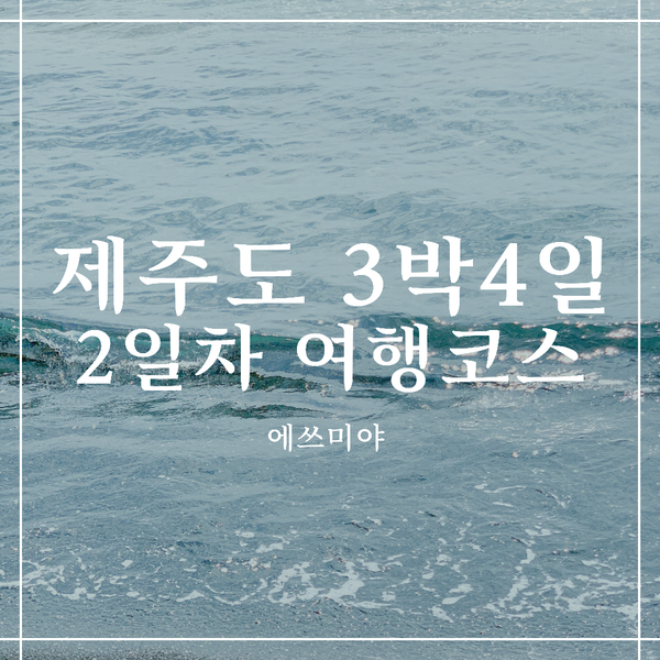 [제주도 여행] 제주도 3박 4일 서귀포 여행 코스, 광치기 해변 / 우도 / 보롬왓