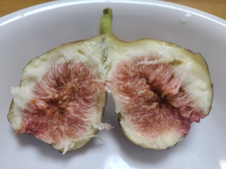  무화과 제철 맞아 싱싱하게 생으로 먹는법