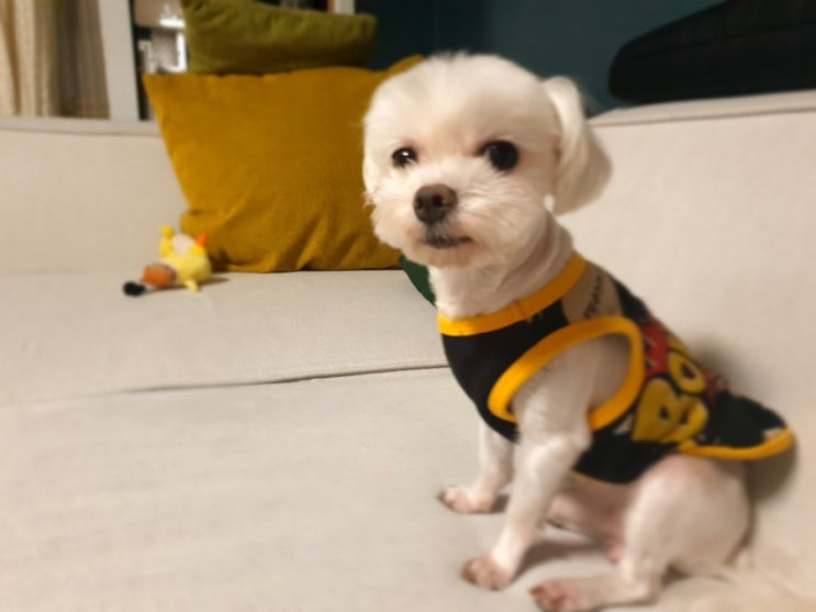  그남자와 그여자 사정