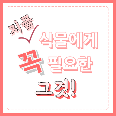  관엽 식물영양제 , 두번째 / 지금부터 주면 좋은 비료