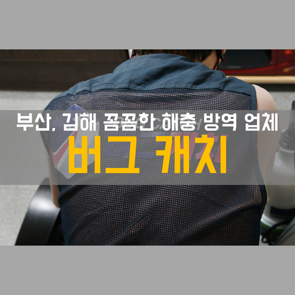 부산방역업체 - 꼼꼼한 부산, 김해, 창원 방역 '버그캐치'