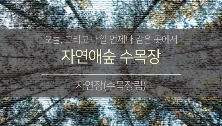 북부권 자연장지(수목장림)2. (feat.자연애숲 수목장)