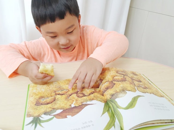  유아도서 추천 6세 자연관찰책 한달후기