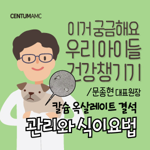  강아지 고양이 칼슘 옥살레이트 관리와 식이요법 (부산 센텀동물메디컬센터 수의내과학박사 문종현 대표원장)