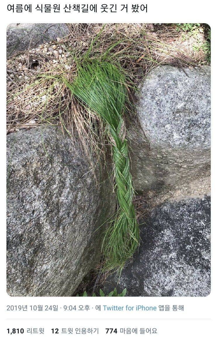  여름에 식물원 산책길에 웃긴 거 봤어