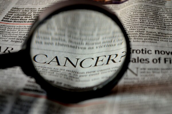 편의대로 약관 적용...갑상선암 보험금 '커지는 갈등'