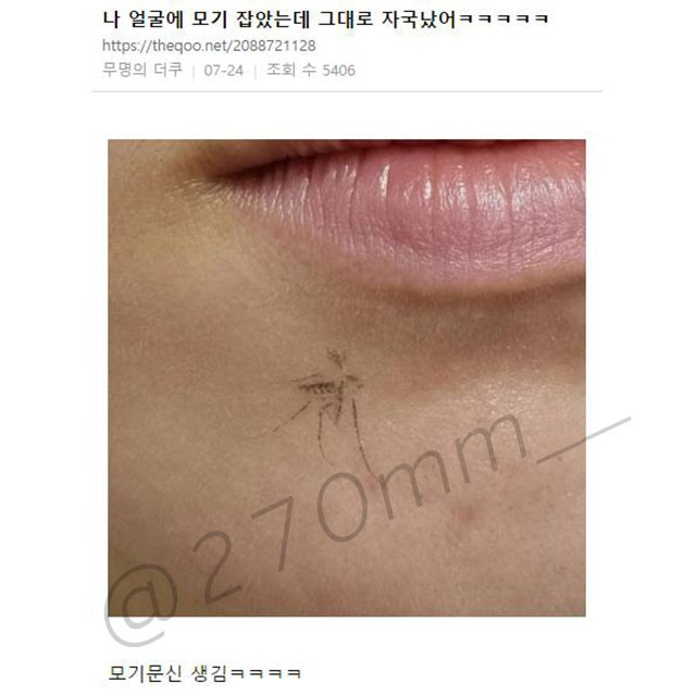  모기 잡음