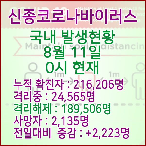  코로나19(코로나바이러스) 8월 11일 0시 국내(해외포함) 발병 216,206명 / 189,506명 완치 격리해제 / 사망자 2,135명