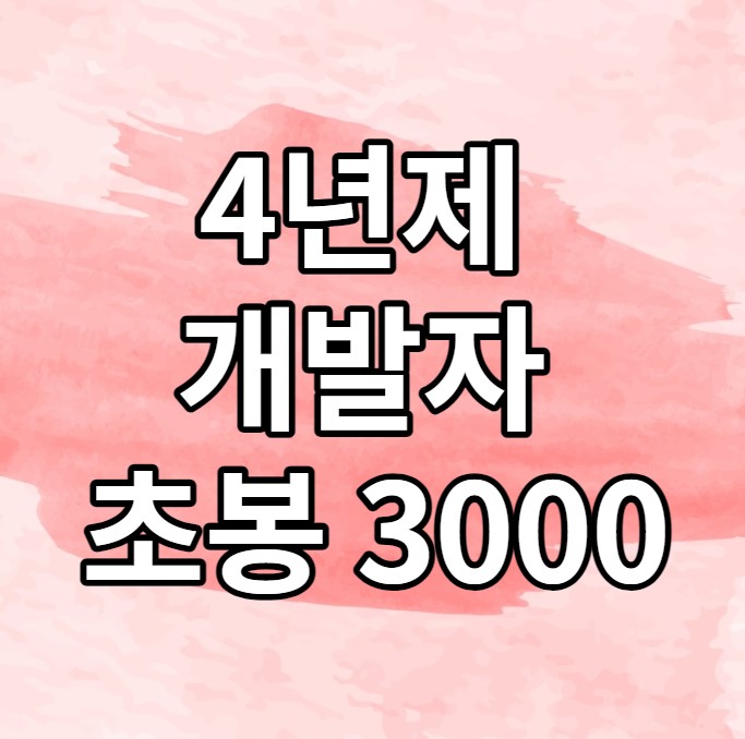  [개발자 출신 컨설턴트] 4년제 개발자 초봉 3000 이상