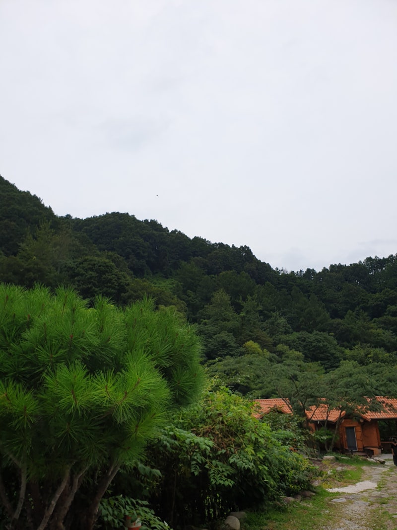 사진 6