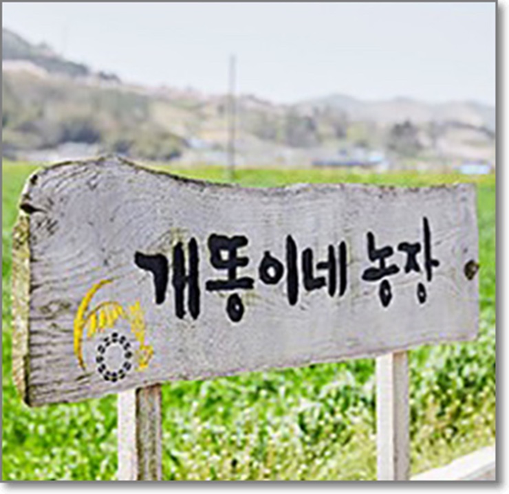  랜선장터 구매방법 미니밤호박 쌀귀리 라이브 커머스 바로가기!