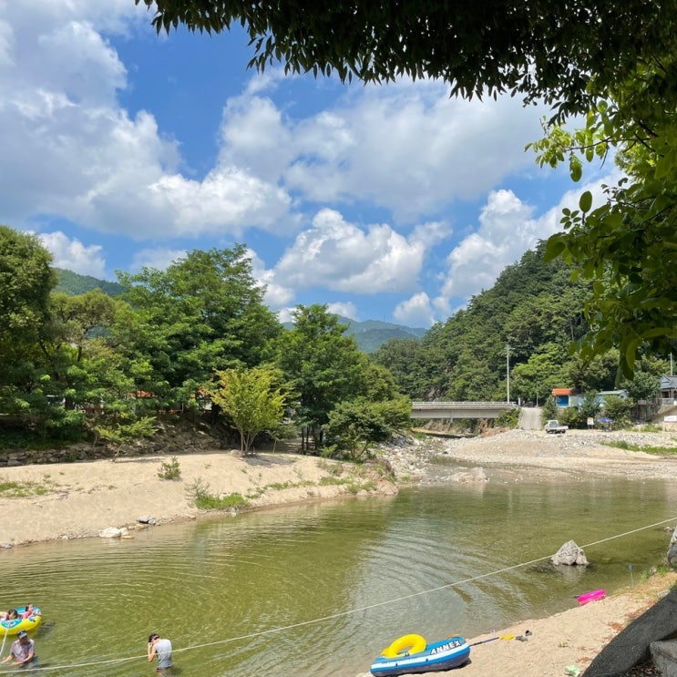  아이방학 울진 여름휴가 피서 불영계곡캠핑 불영민박 아 좋다
