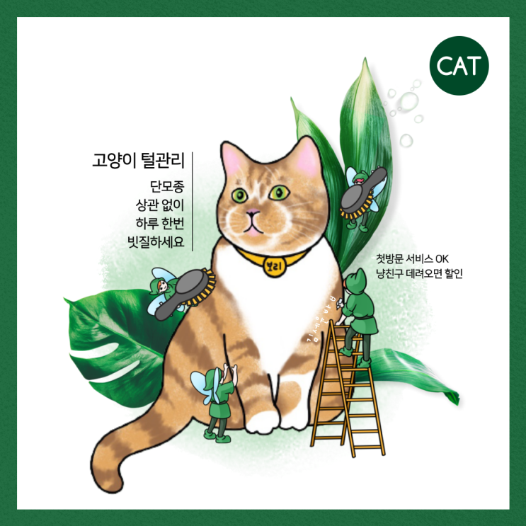  고양이 털 관리 소홀해지면 안 되는 이유와 빗질하기