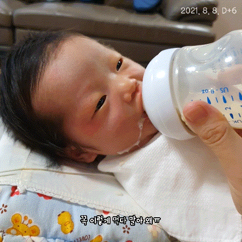  D+7 신생아황달 | 광선 치료후 황달 경과 후기 14mg/dl
