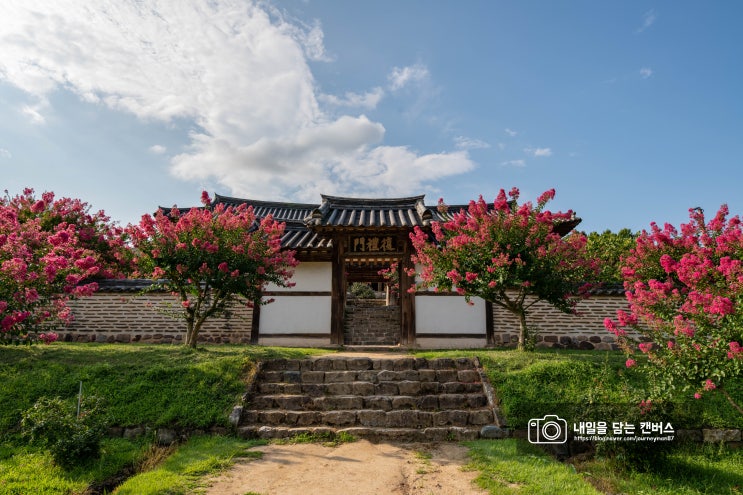  [안동 여행] 백일홍이 아름다운 병산서원