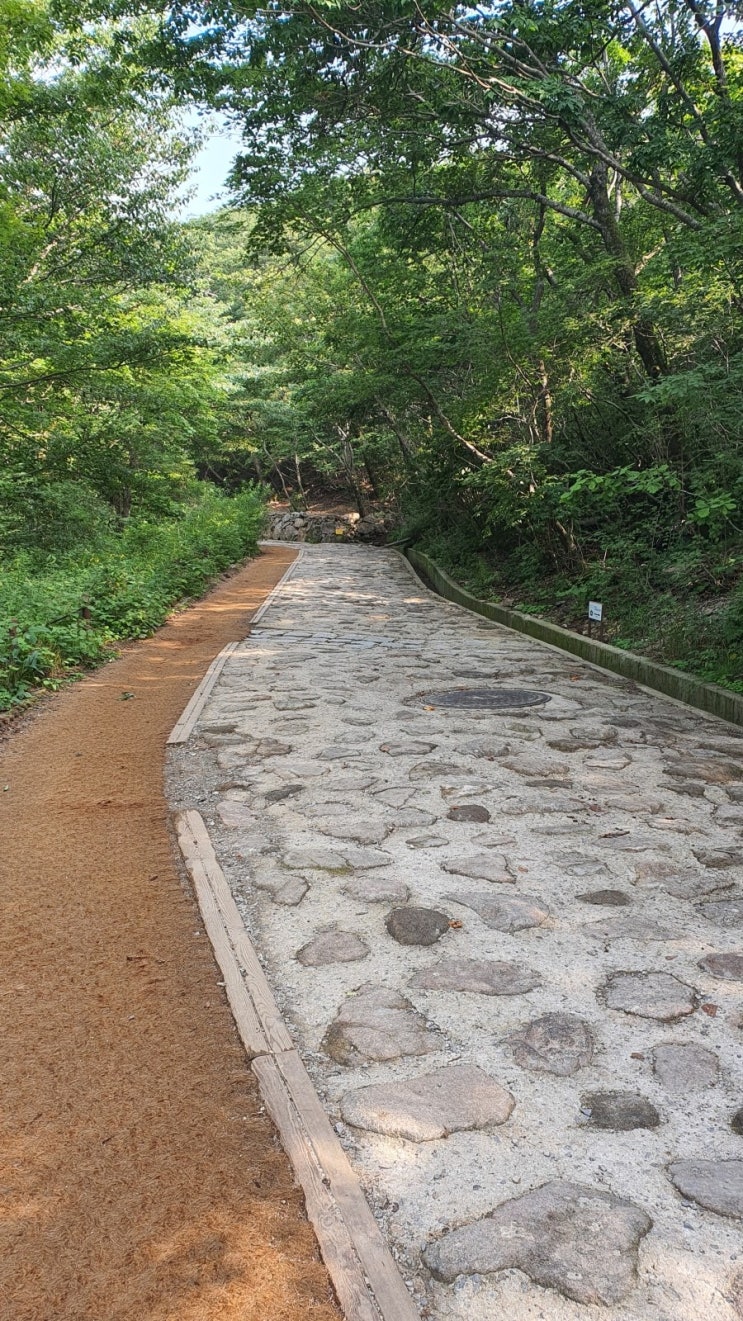  중년의 살빼기, 가장 중요한 건 '이것 ' 덜먹기