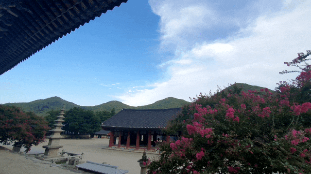  8/11고창 시골일기 전북 고창 선운사 방문 애견 동반 가능 +구찌 농촌 st