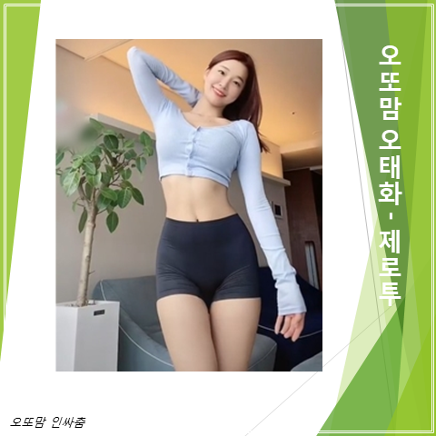  오또맘 오태화의 제로투 인싸춤