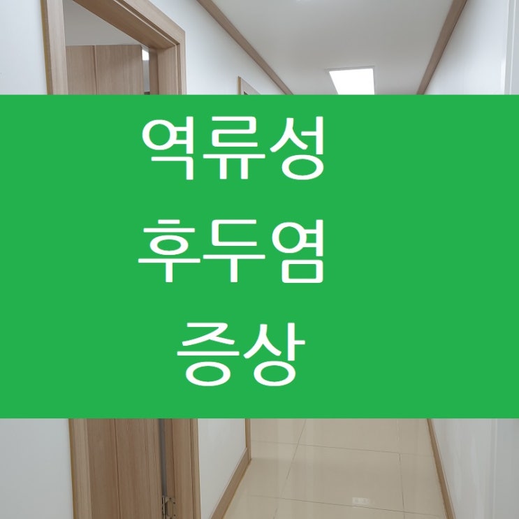  역류성 후두염 증상 치료에 대해