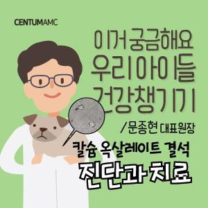  강아지 고양이 칼슘 옥살레이트 진단과 치료 (부산 센텀동물메디컬센터 수의내과학박사 문종현 대표원장)