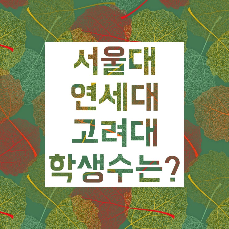서울대 학생수, 연세대 학생수, 고려대 학생수 각각 몇 명일까요?! 서울대 학생수, 연세대 학생수, 고려대 학생수 각각 몇 명일까요?!