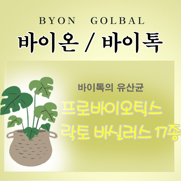  유산균의 효능과 종류 / 락토바실러스 람노서스 비피더스  비피도 박테리움