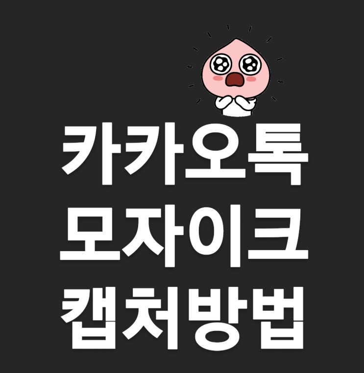 카카오톡 모자이크/카카오프렌즈로 대화캡쳐하는 방법 카카오톡 모자이크/카카오프렌즈로 대화캡쳐하는 방법