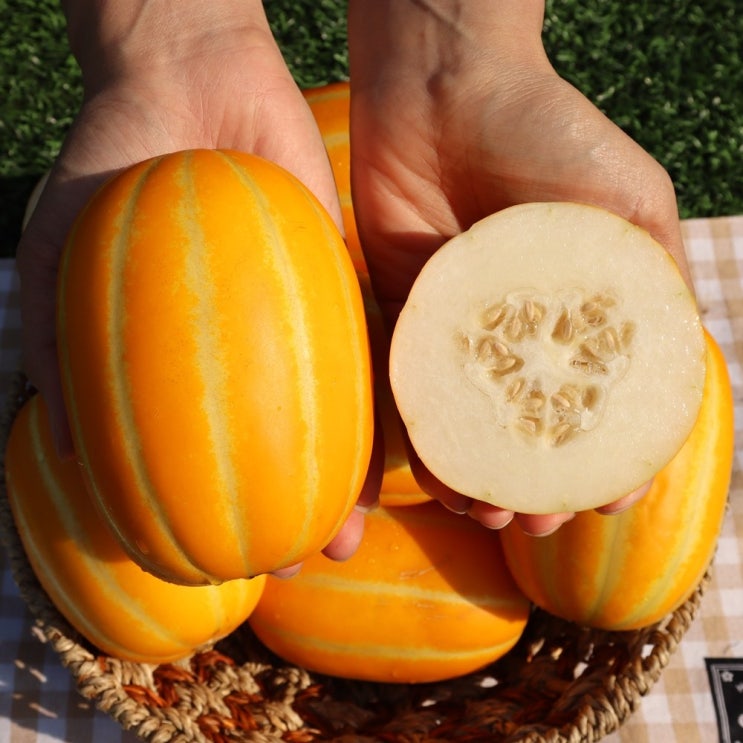 가성비갑 [요빠] 아삭아삭 달콤한 성주 꿀 참외 로얄과, 2kg 추천해요