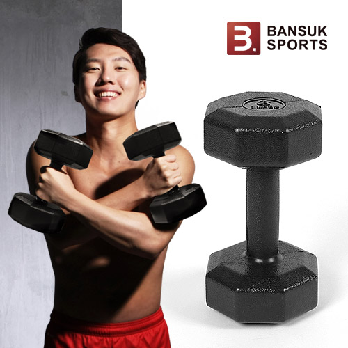 잘나가는 반석스포츠 비스펙 X아령 5kg, 1개 추천해요 잘나가는 반석스포츠 비스펙 X아령 5kg, 1개 추천해요