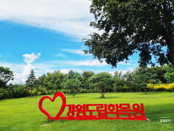  강원도립화목원(21.08.07)