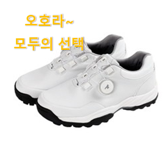  놀라운가격 에코골프화남성 핫템 순위정보 맘에 쏙 든다니깐요.