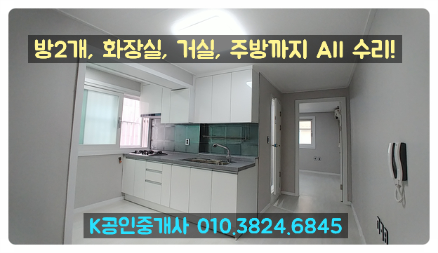  일산 투룸 월세 올수리! 이 정도면 3일 안에 계약각!
