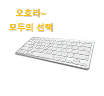  센스있는 매직키보드 베스트 순위 득템하세요