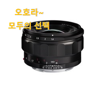  검증된 미러리스 추천 리스트 너무 맘에듭니다