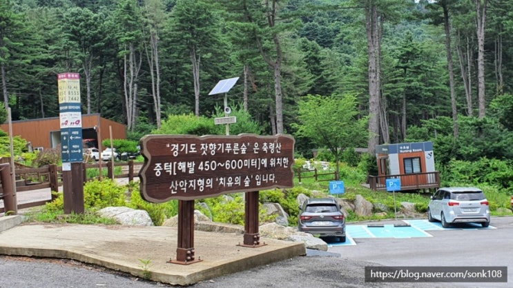  경기도 가평 잣향기 푸른숲에서 피톤치드로  힐링하며  트레킹 했어요