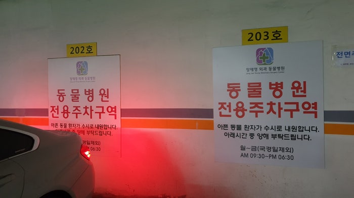 장재영외과동물병원 다리검진 후기 / 4