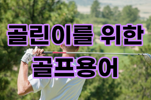  초보골퍼가(골린이) 알아두면 좋은 골프용어 알아봅시다.