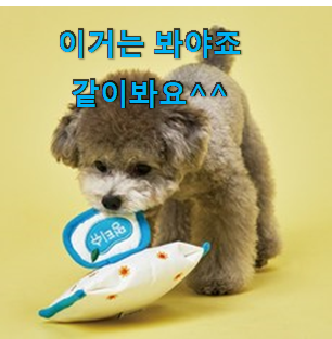 명품 강아지장난감 가성비 추천 단골집 사장님이 추천이에요. 명품 강아지장난감 가성비 추천 단골집 사장님이 추천이에요.