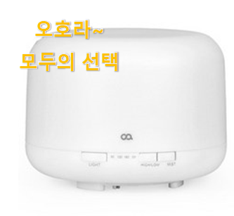  최후의 선택 통세척미니가습기 꿀템 모음 선배가 추천해줬어요.