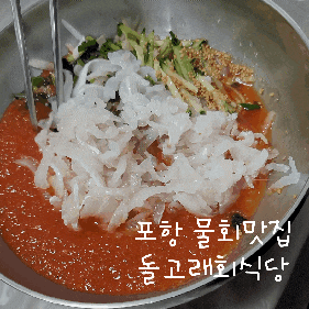포항 맛집_ 물회맛집 '돌고래회식당'