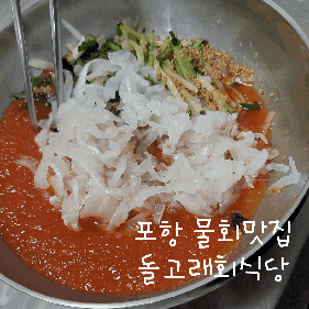  포항 맛집_ 물회맛집 '돌고래회식당'