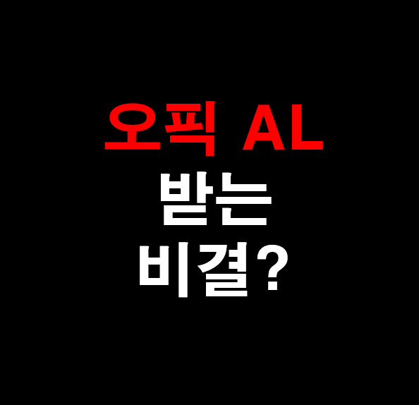 10.[성인 영어] 오픽 AL 받았던 비결?