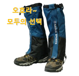 후기대박 다리토시 물건 리스트 이건 사야돼!