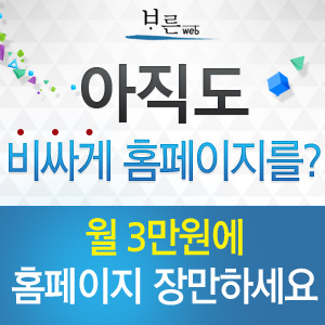 독립형 홈페이지 만들기 월 3만원 (주)바른웹