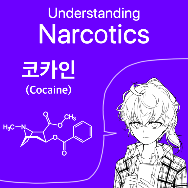 [마약류 이해] 코카인(Cocaine) 이해